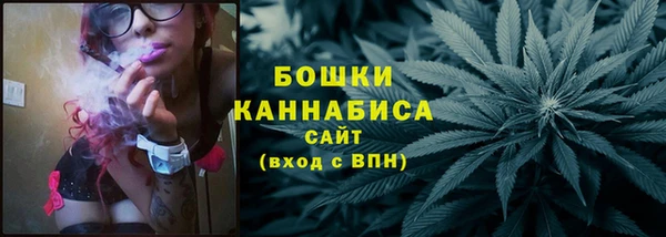 твердый Гусев