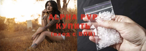 твердый Гусев