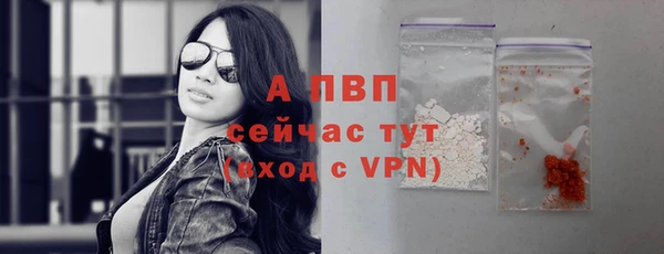 твердый Гусев
