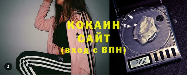 твердый Гусев