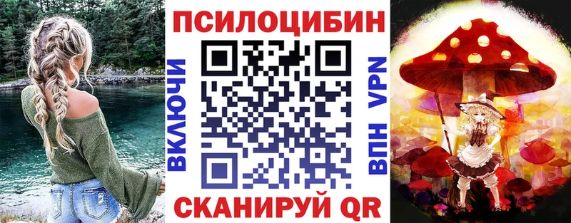 кракен tor Дрезна Галлюциногенные грибы Psilocybe